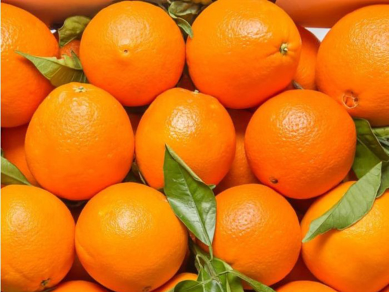 Navel Oranges