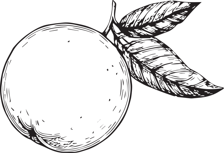 Fruit icon